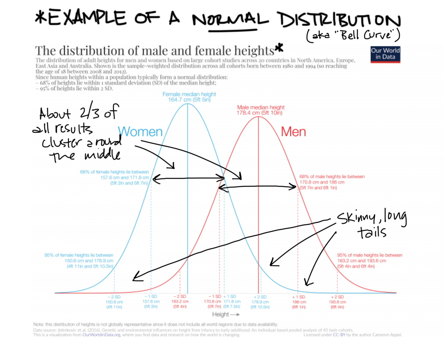 Weighted distribution. Bell curve distribution. Bell curve. Height distribution.